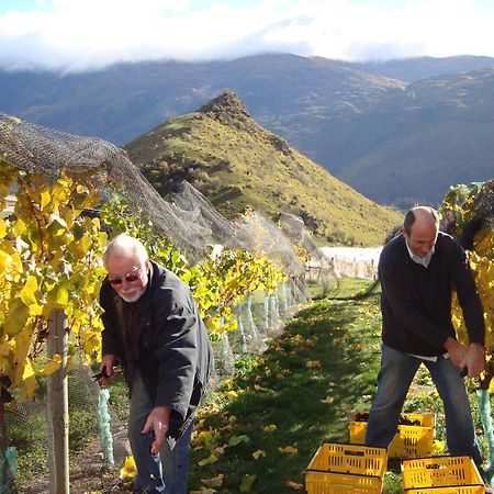 Mt Rosa Lodge Boutique Vineyard Accommodation Wanaka Buitenkant foto