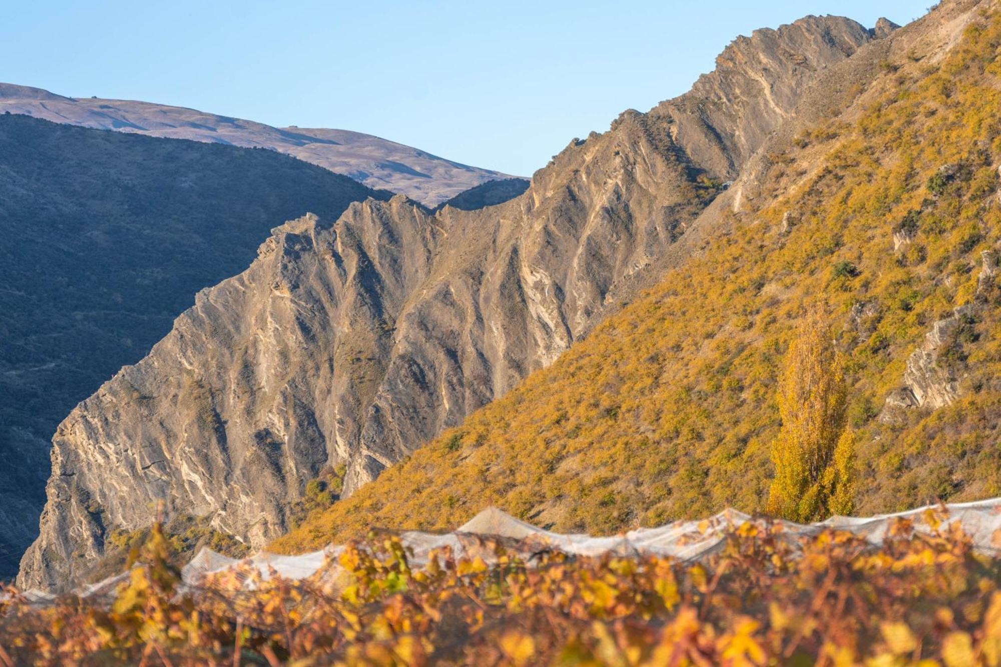 Mt Rosa Lodge Boutique Vineyard Accommodation Wanaka Buitenkant foto
