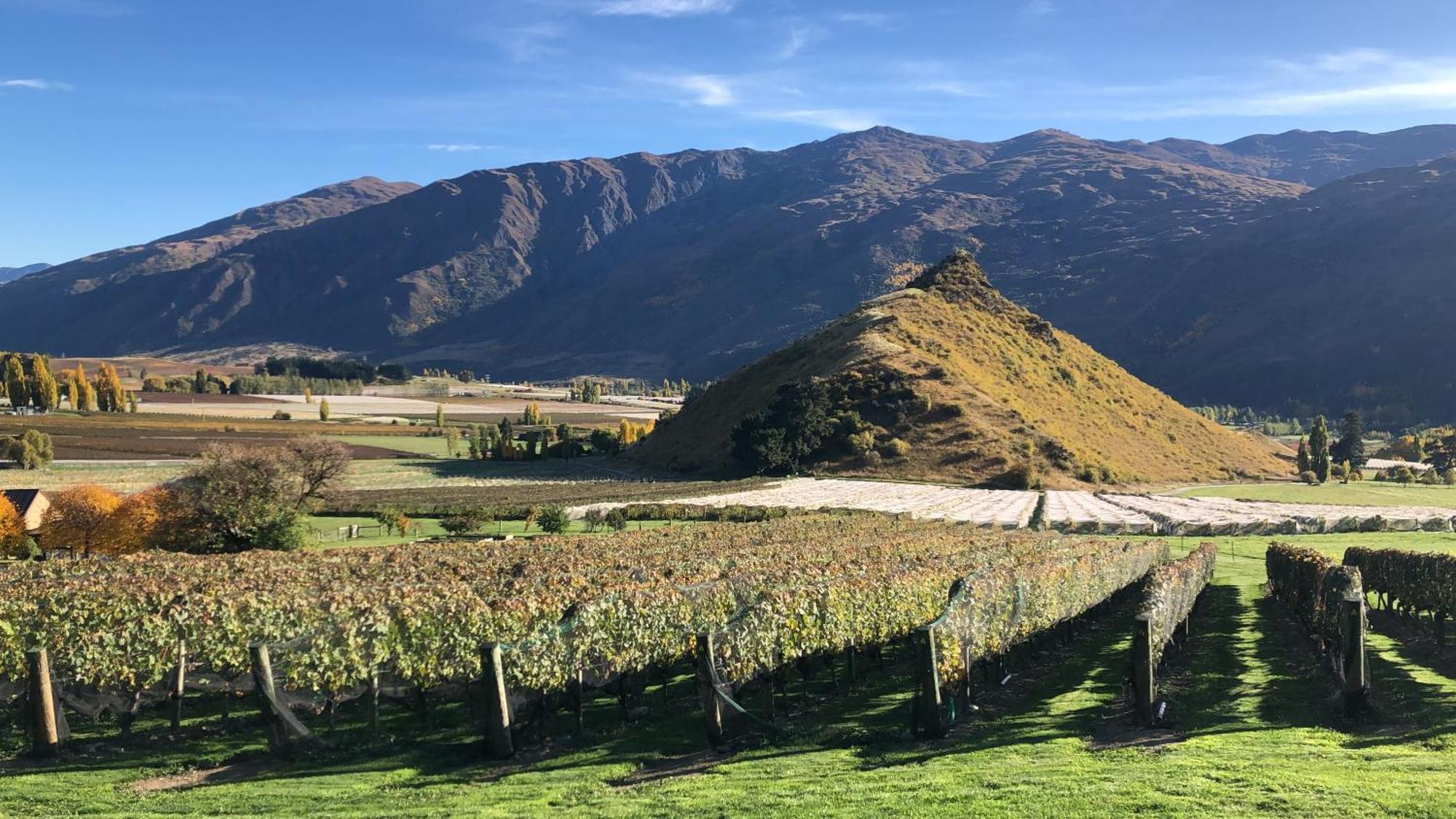 Mt Rosa Lodge Boutique Vineyard Accommodation Wanaka Buitenkant foto