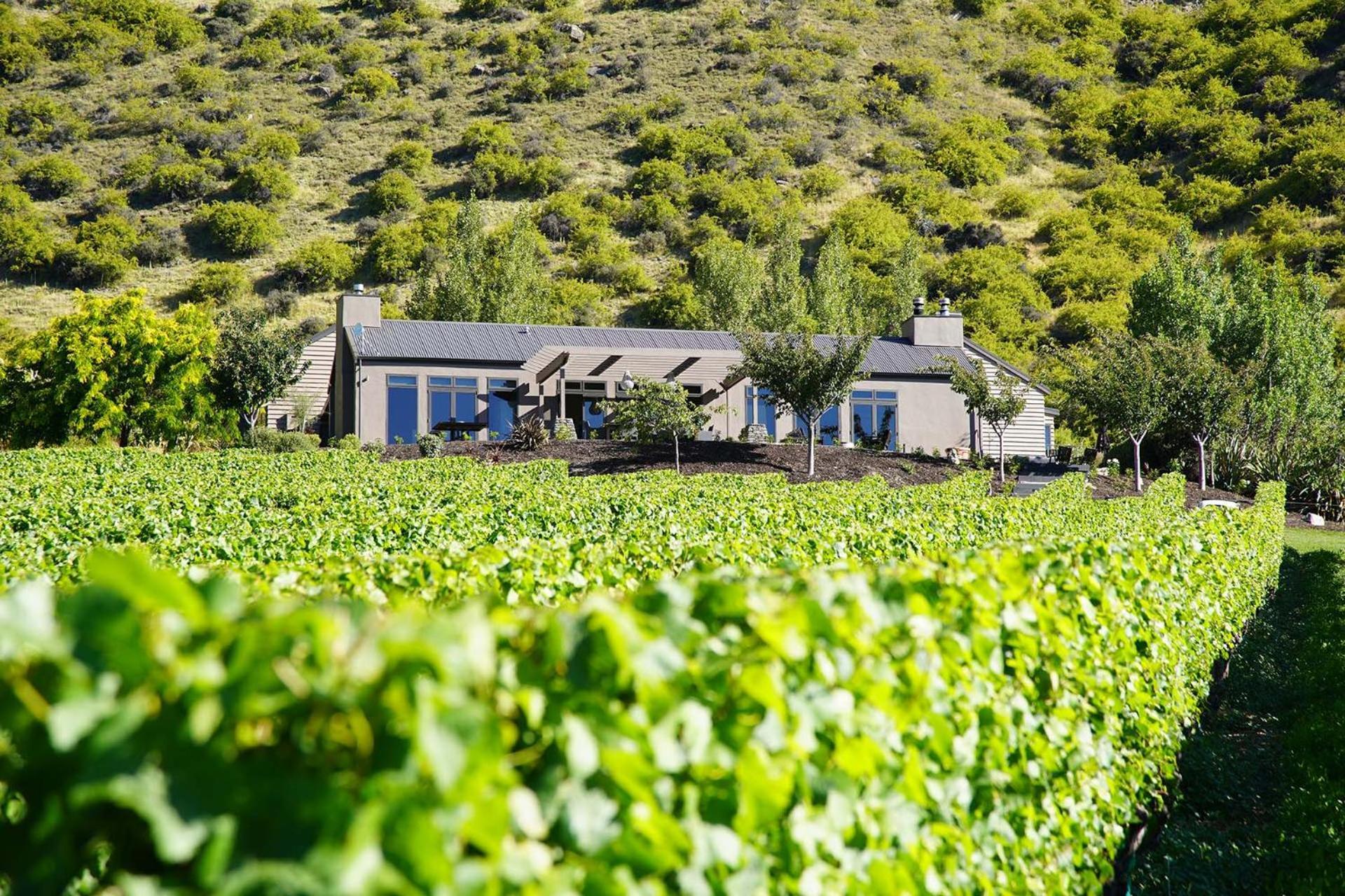 Mt Rosa Lodge Boutique Vineyard Accommodation Wanaka Buitenkant foto