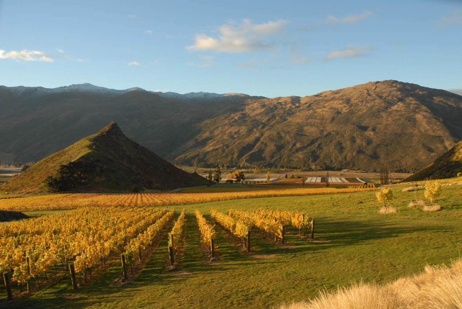 Mt Rosa Lodge Boutique Vineyard Accommodation Wanaka Buitenkant foto