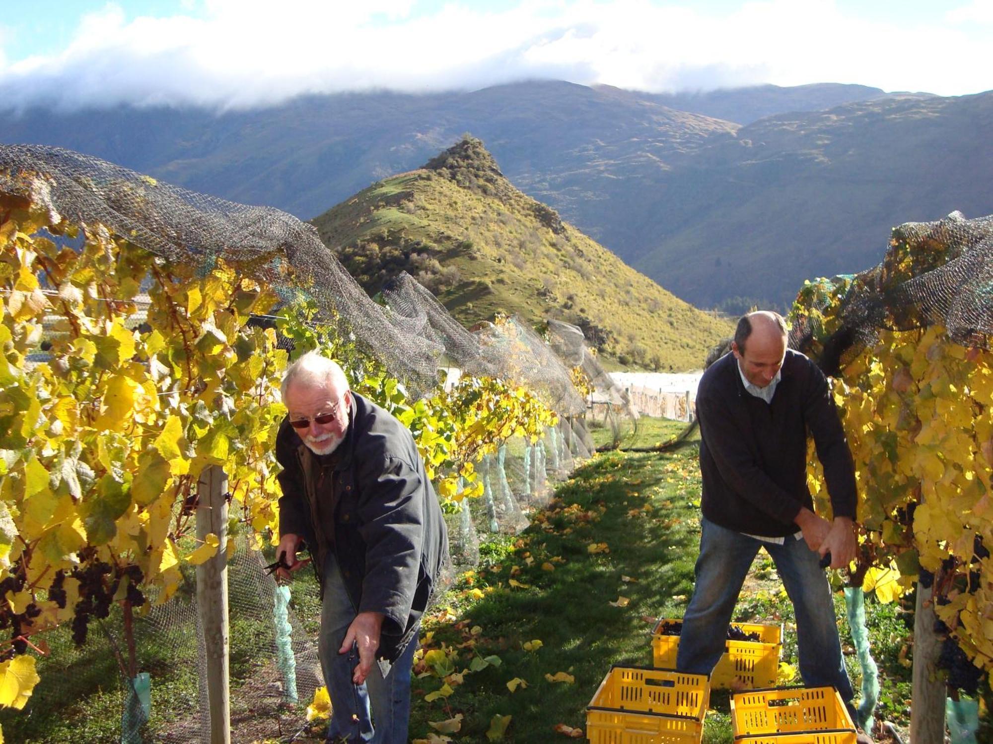 Mt Rosa Lodge Boutique Vineyard Accommodation Wanaka Buitenkant foto