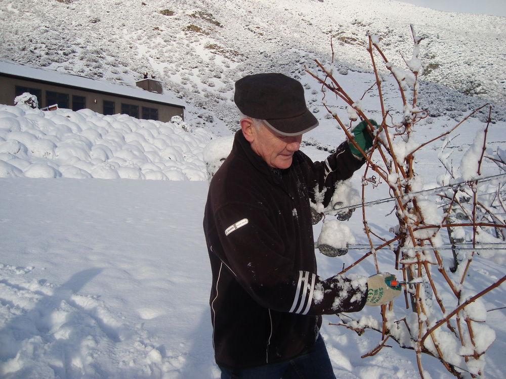 Mt Rosa Lodge Boutique Vineyard Accommodation Wanaka Buitenkant foto