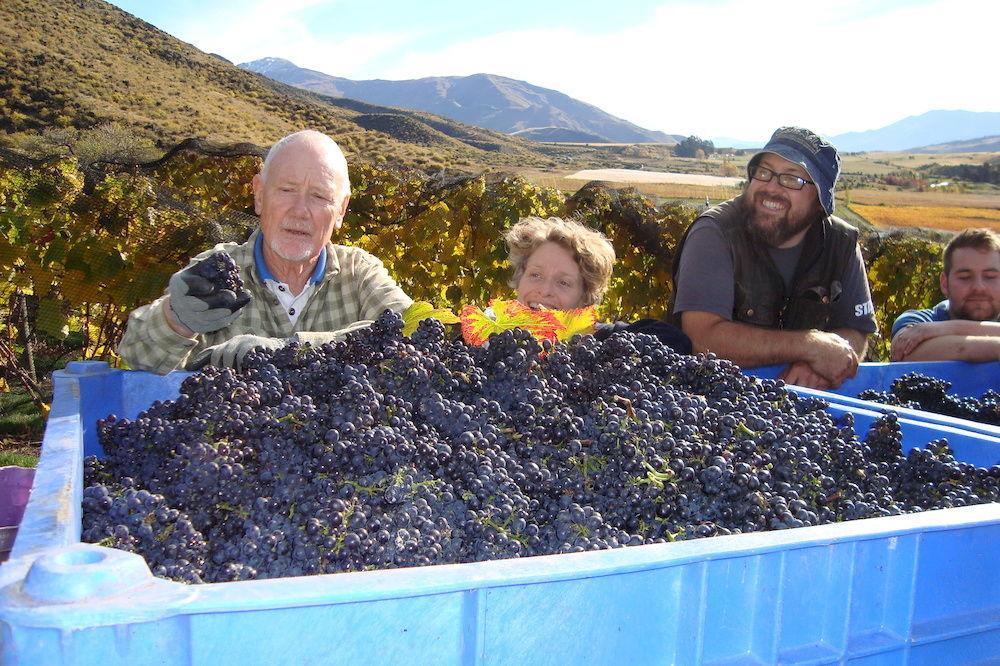 Mt Rosa Lodge Boutique Vineyard Accommodation Wanaka Buitenkant foto