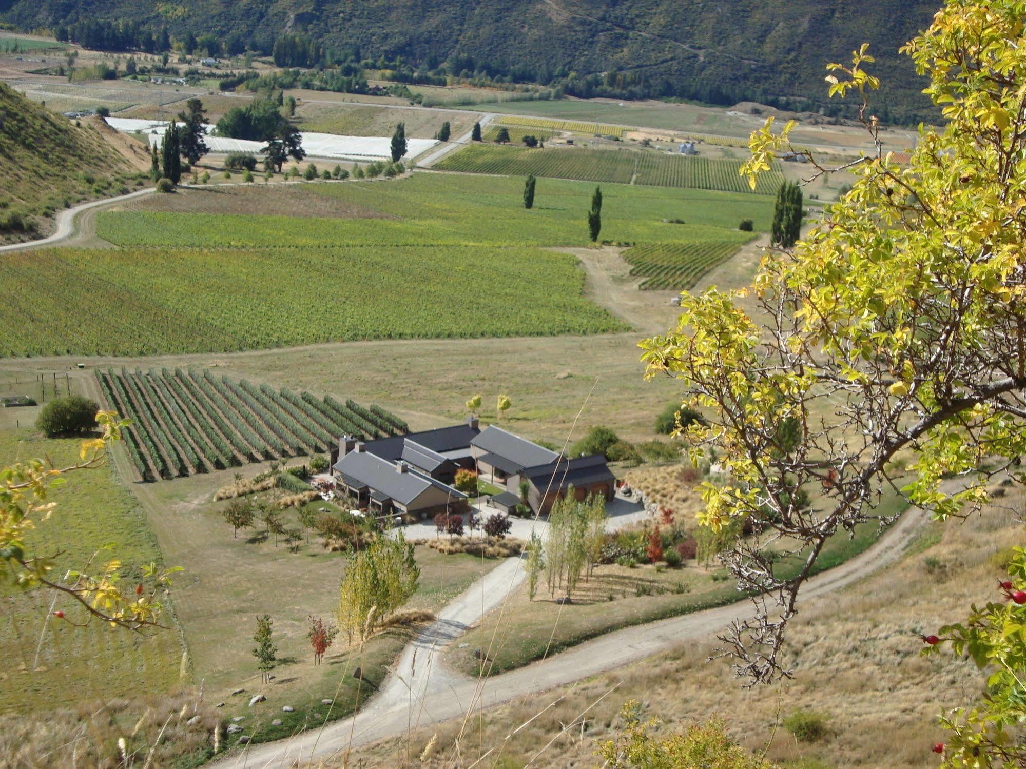 Mt Rosa Lodge Boutique Vineyard Accommodation Wanaka Buitenkant foto